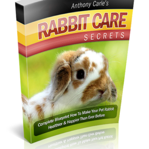 Rabbit Care Secrets